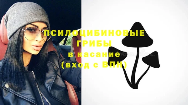 сатива Михайловск