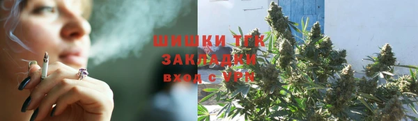 сатива Михайловск