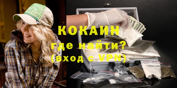 бошки Болотное